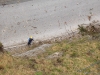 felsraeumungen_094.jpg