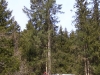 mellitzgraben025.jpg