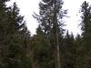 mellitzgraben026.jpg