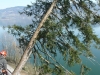 mondsee8.jpg