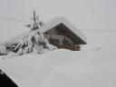 schneechaos04.jpg